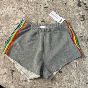 Spiritual Gangster Gray Shorts with Rainbow Side Stripes